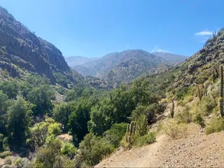Santuario de la Naturaleza El Arrayán image 4