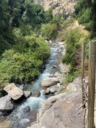 Santuario de la Naturaleza El Arrayán image 5