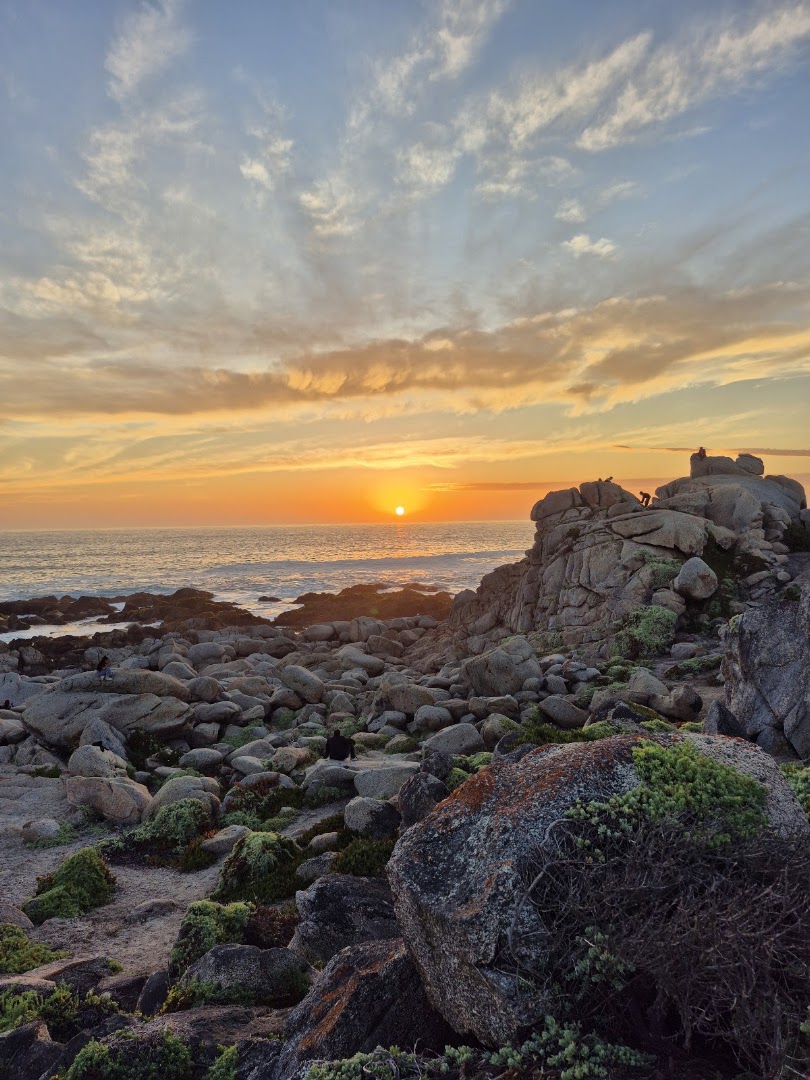 Santuario Punta de Tralca