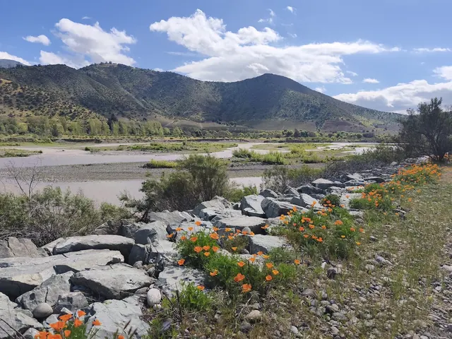 Sendero Interpretativo Familiar Acevedo, Isla de Maipo, Santiago