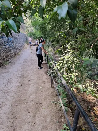 Sendero Zorro Vidal image 3