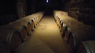 Soc Anonima Viña Santa Rita image 3