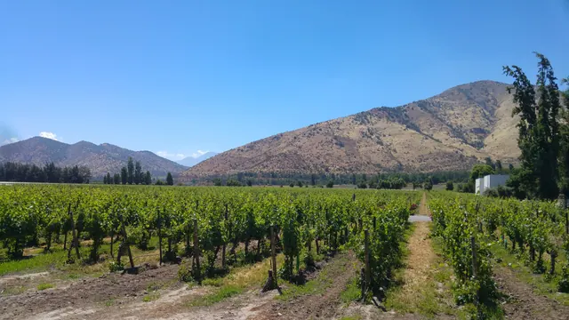 Soc Anonima Viña Santa Rita, San Bernardo, Santiago