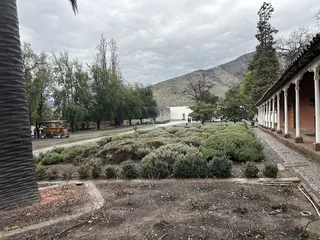 Turistik image 3