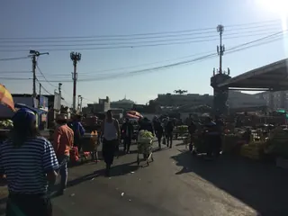 Vega Central de Santiago image 3