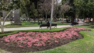 Vergara Square image 3
