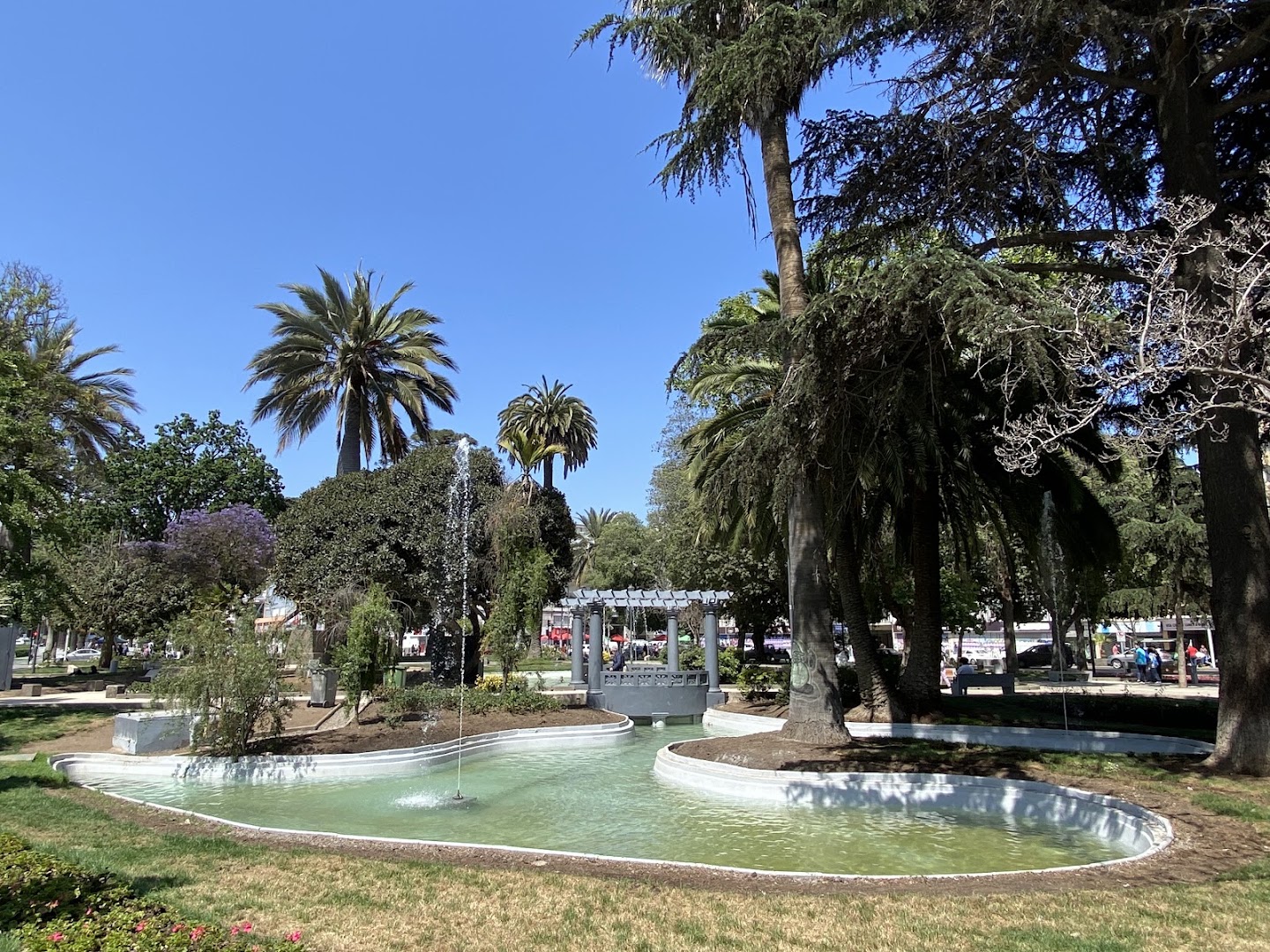 Vergara Square