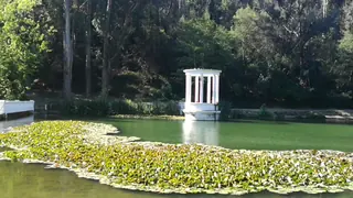 Viña del Mar National Botanical Garden image 2
