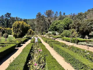 Viña del Mar National Botanical Garden image 3