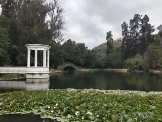 Viña del Mar National Botanical Garden image 4