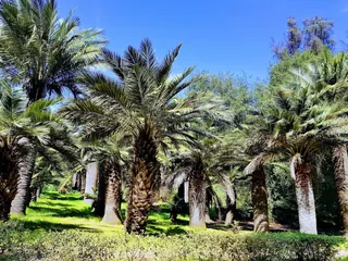 Viña del Mar National Botanical Garden image 5