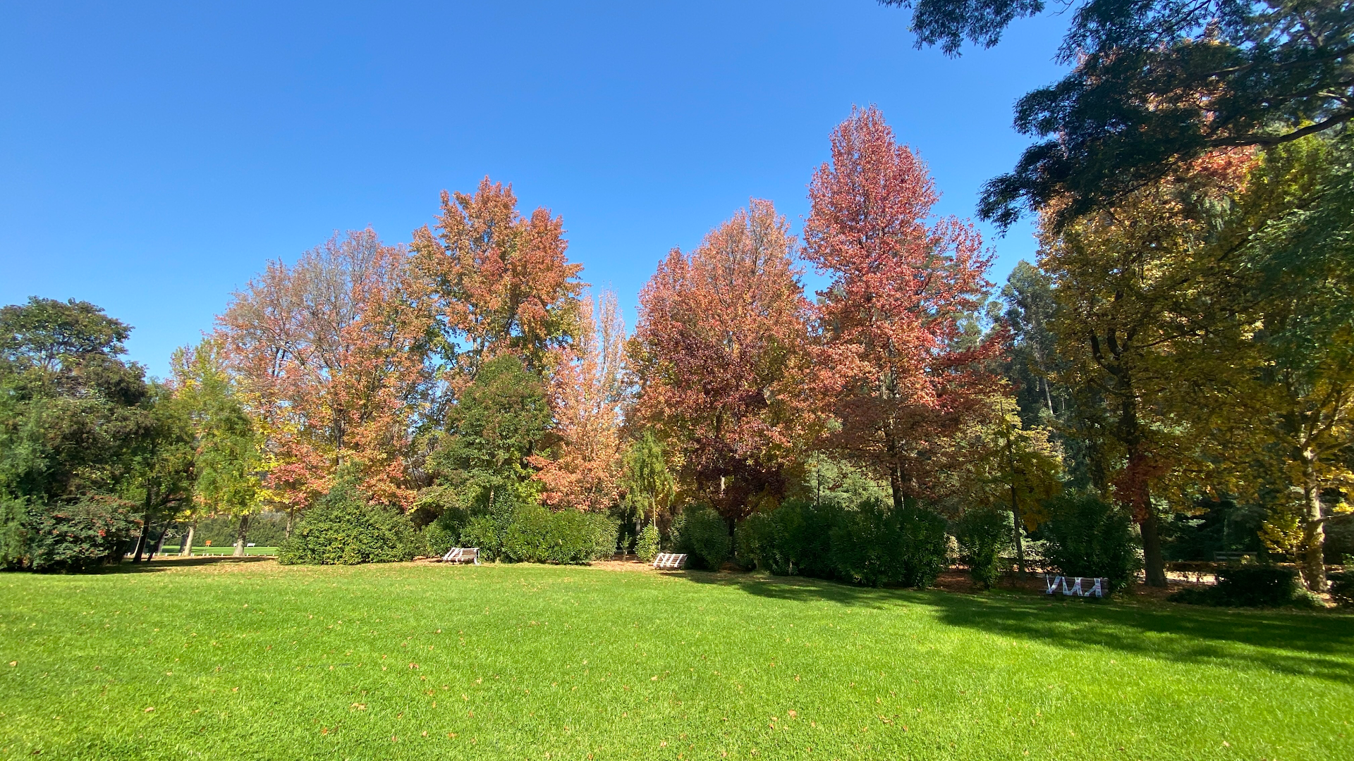 Viña del Mar National Botanical Garden