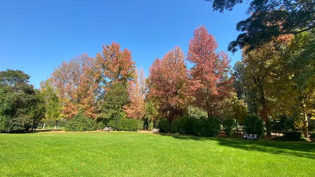 Viña del Mar National Botanical Garden, Viña del Mar, Santiago