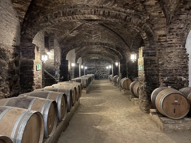 Viña Santa Rita, Buin, Santiago