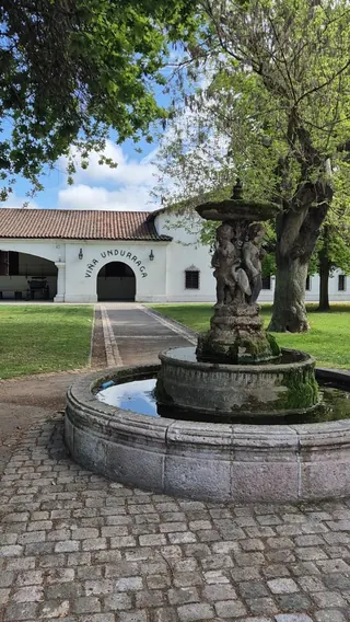 Viña Undurraga image 2
