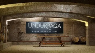 Viña Undurraga image 5