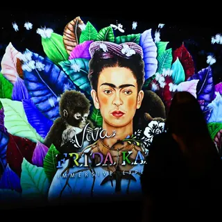 Viva Frida Kahlo image 5
