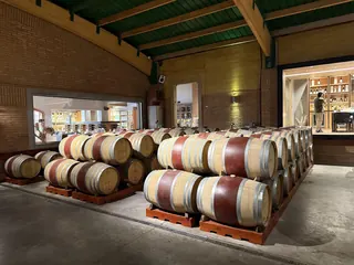 Winery Casas del Bosque image 4