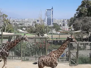 Zoo Nacional Parquemet image 5